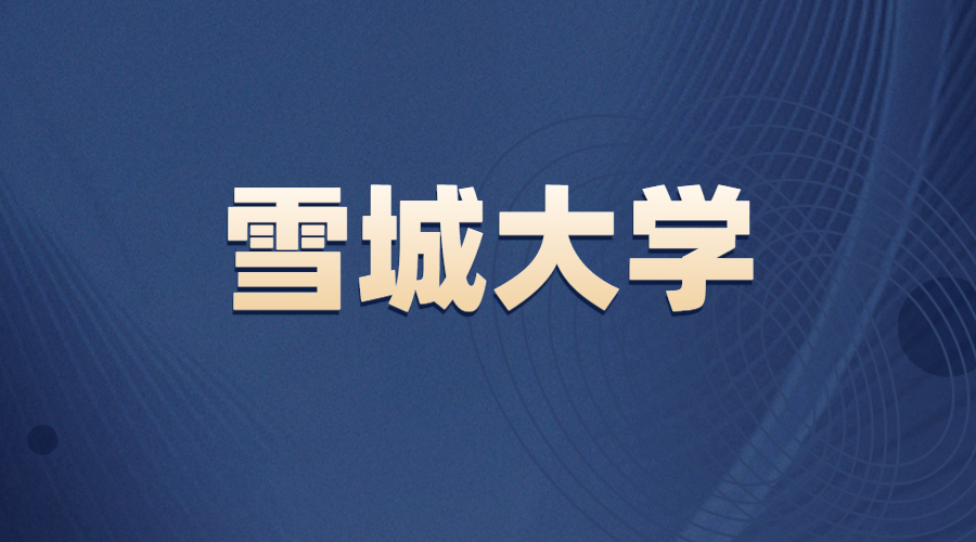 雪城大學offer
